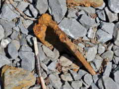 
Tramplate on Woodland Brickworks incline, Abertillery, July 2013